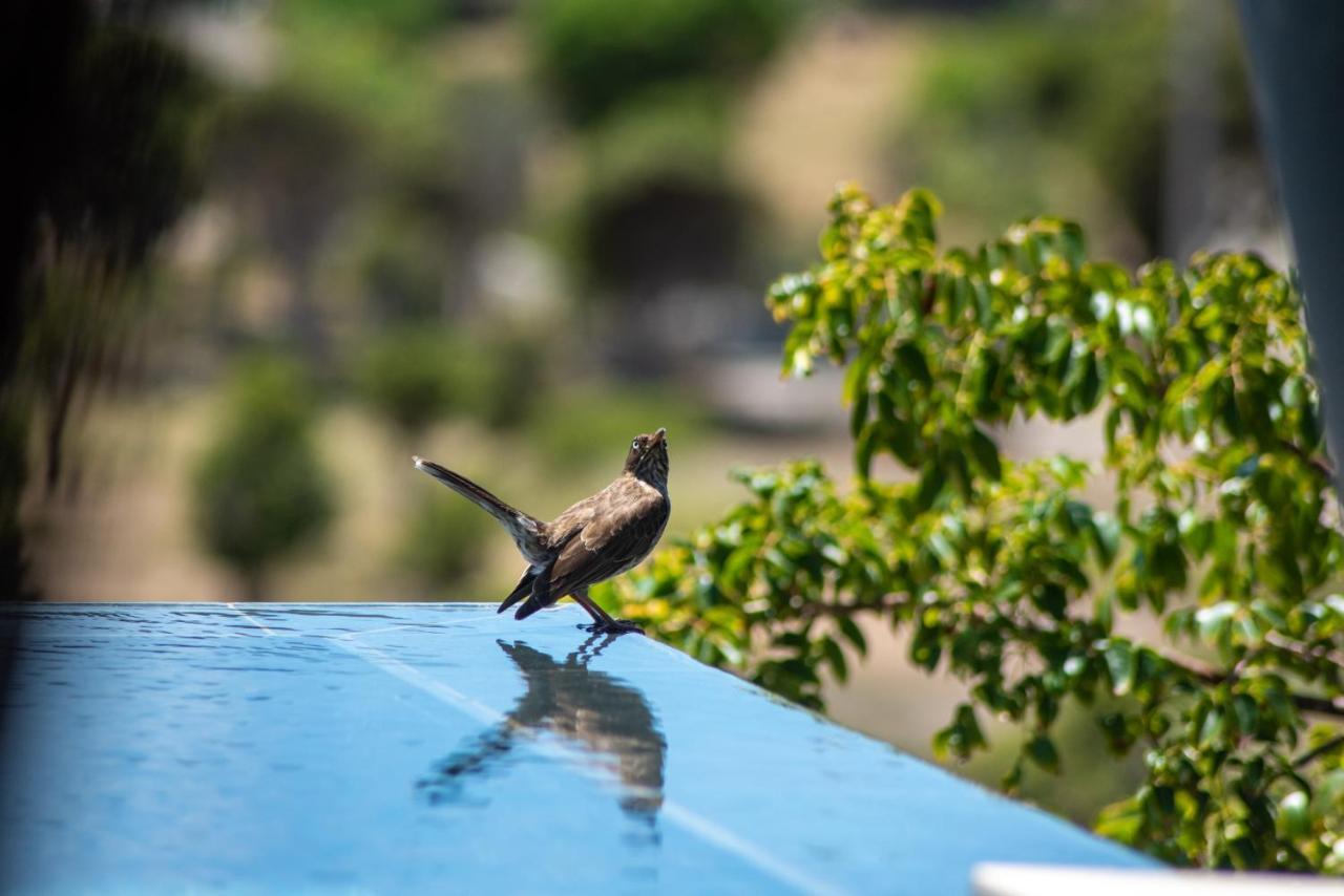 Domaine De Sweet Hill - 4 Villas Et 2 Studios Salines ภายนอก รูปภาพ